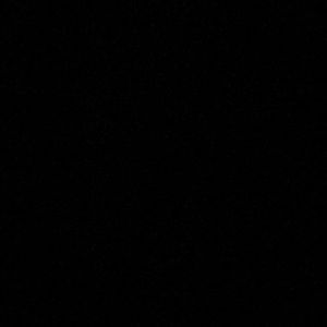 Meet your Posher, Reagan